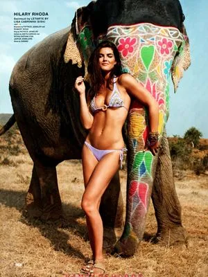 Hilary Rhoda Prints and Posters