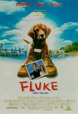 Fluke (1995) Prints and Posters