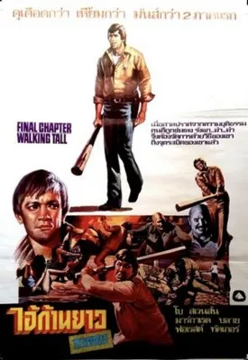 Final Chapter Walking Tall (1977) Prints and Posters