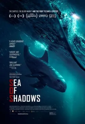 Sea of Shadows (2019) Prints and Posters