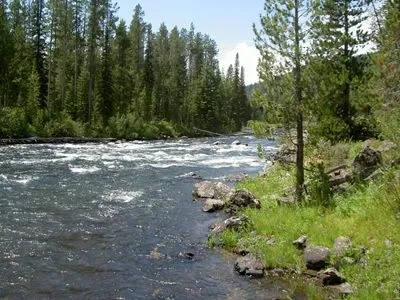 Rivers White Water Bottle With Carabiner