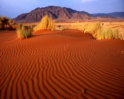 Desert Poster