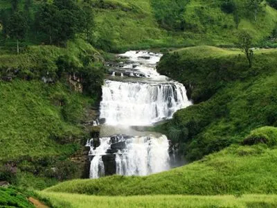 Waterfalls Tote