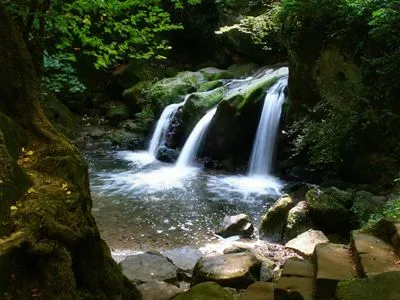 Waterfalls Stainless Steel Water Bottle