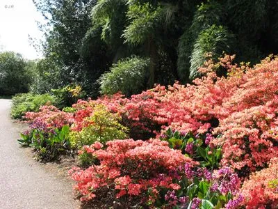 Botanical Gardens Prints and Posters