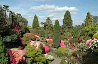 Botanical Gardens Poster