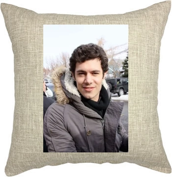 Adam Brody Pillow