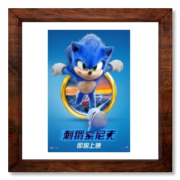 Sonic the Hedgehog (2020) 12x12