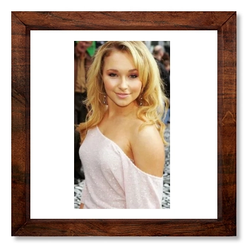 Hayden Panettiere 12x12