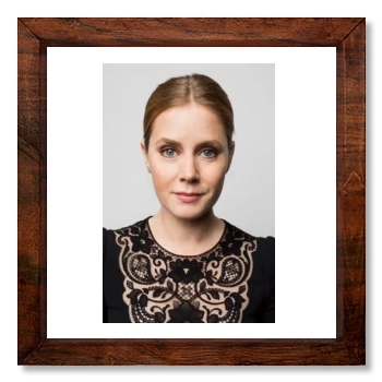 Amy Adams 12x12