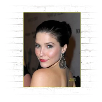 Sophia Bush Poster