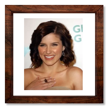 Sophia Bush 12x12