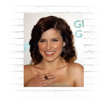 Sophia Bush Poster