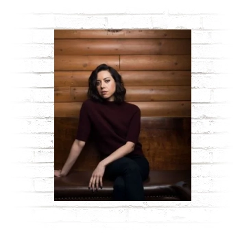 Aubrey Plaza Poster