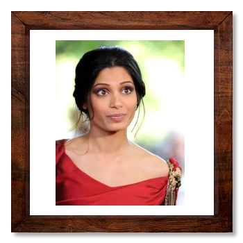 Freida Pinto 12x12