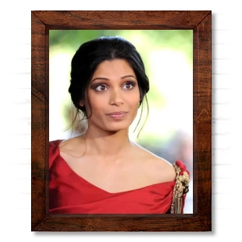 Freida Pinto 14x17