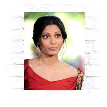 Freida Pinto Metal Wall Art