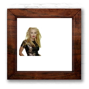 Traci Lords 6x6