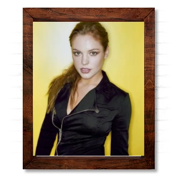 Agnes Bruckner 14x17