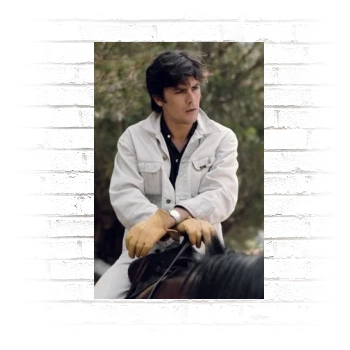 Alain Delon Poster