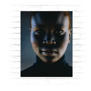 Alek Wek Poster