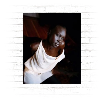 Alek Wek Poster