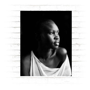 Alek Wek Poster