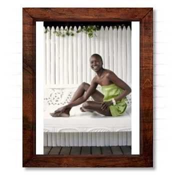 Alek Wek 14x17