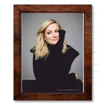 Amy Poehler 14x17