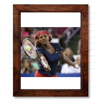 Serena Williams 14x17