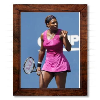 Serena Williams 14x17