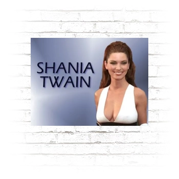 Shania Twain Poster