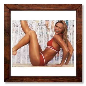 Stacy Keibler 12x12