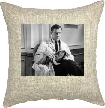 Tony Randall Pillow