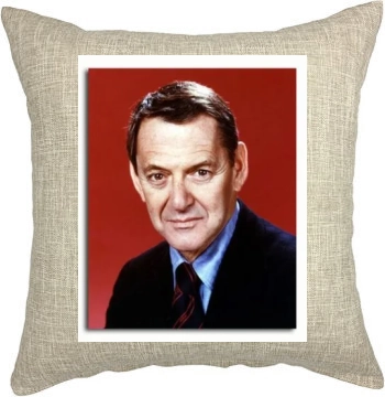 Tony Randall Pillow