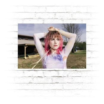 Hayley Williams Poster