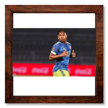 Alfredo Morelos 12x12