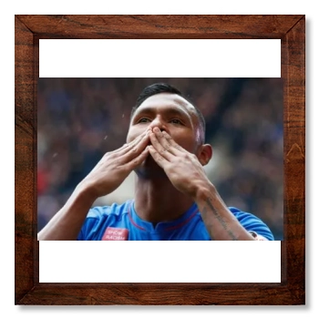 Alfredo Morelos 12x12