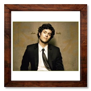 Adam Brody 12x12