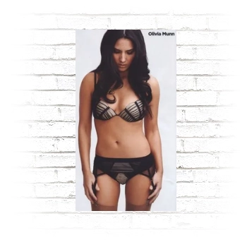 Olivia Munn Poster