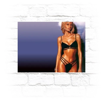 Adriana Karembeu Metal Wall Art