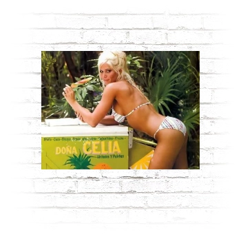 Torrie Wilson Poster