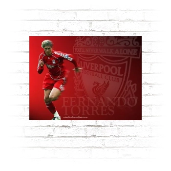 Fernando Torres Poster