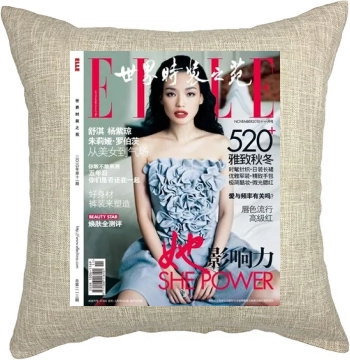 Shu Qi Pillow