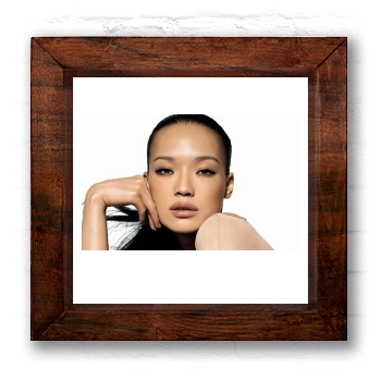 Shu Qi 6x6