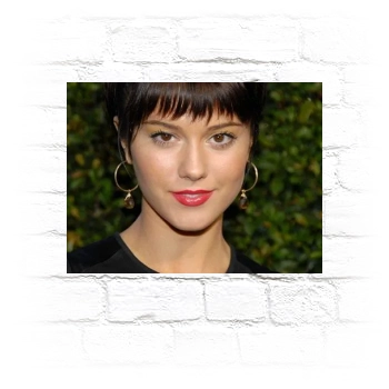 Mary Elizabeth Winstead Metal Wall Art