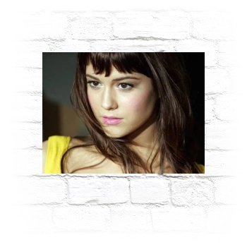 Mary Elizabeth Winstead Metal Wall Art