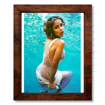 Stacey Dash 14x17