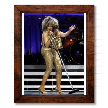 Tina Turner 14x17