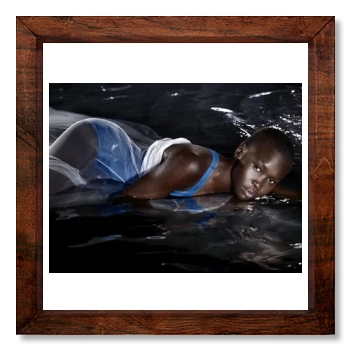 Alek Wek 12x12